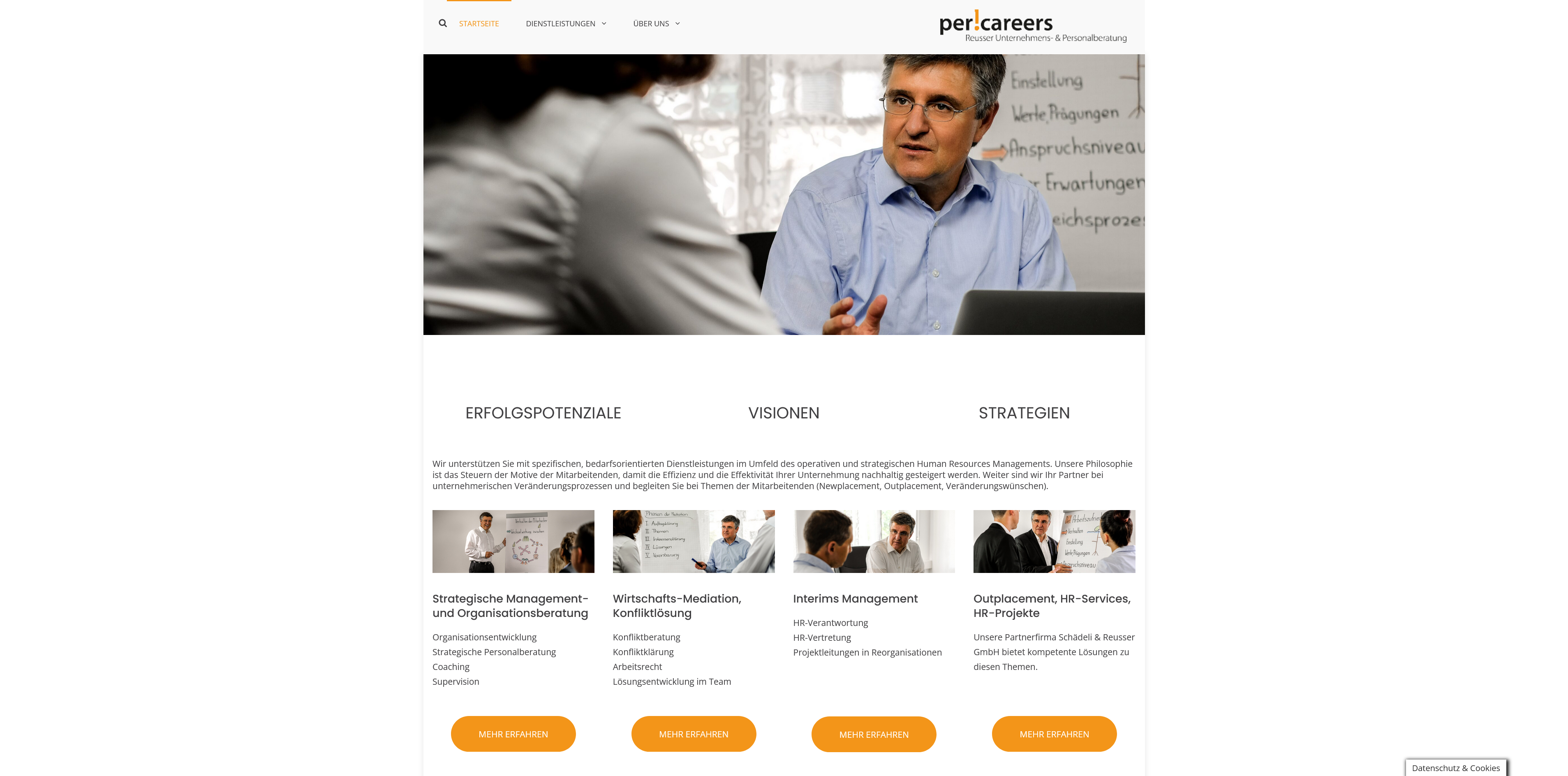 Sylencer Webdesign Referenz percareers