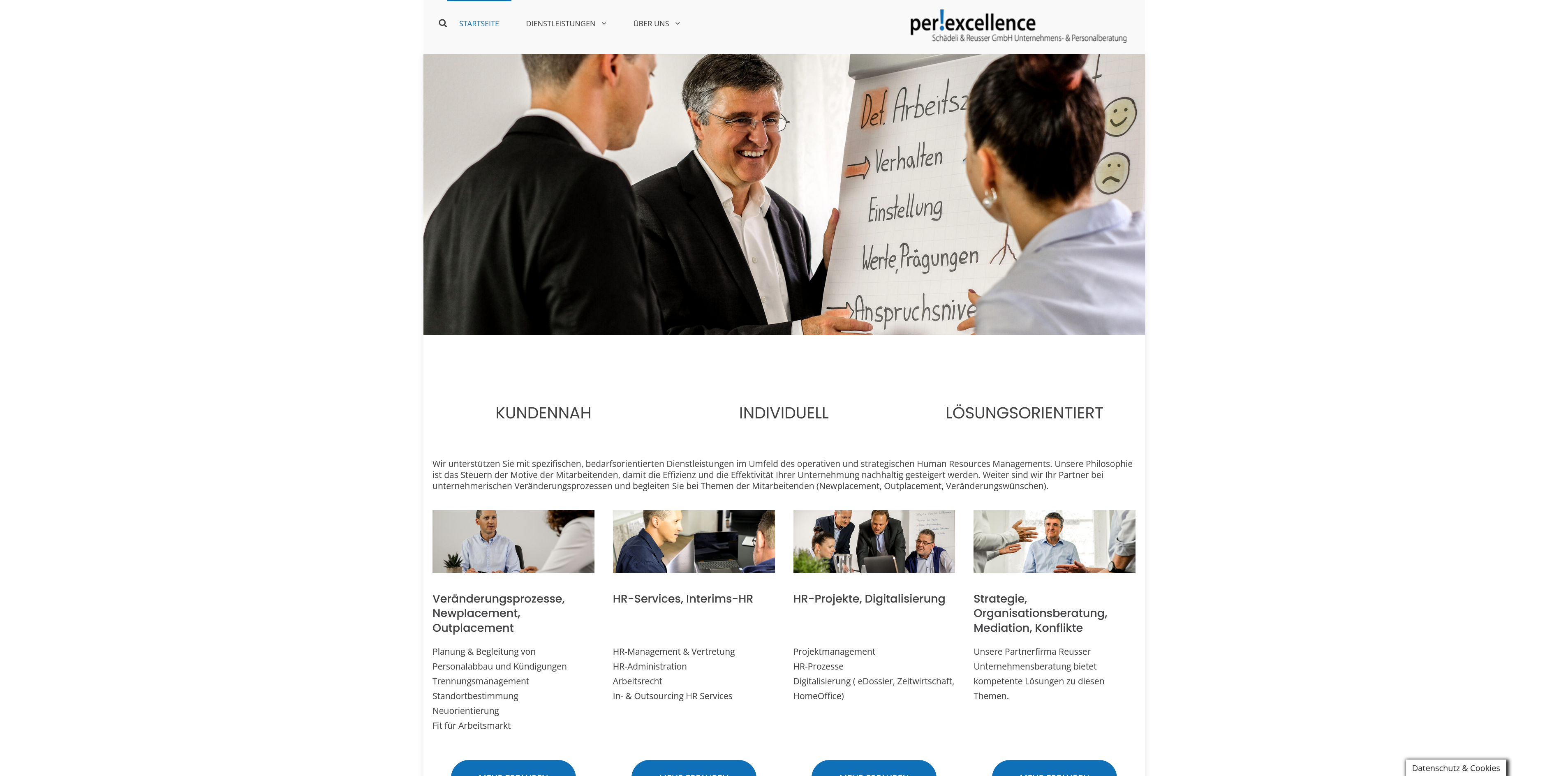 Sylencer Webdesign Referenz perexcellence